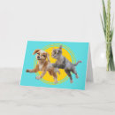 Search for gracie cards Pets to the rescue