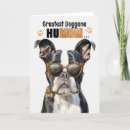 Search for boston terrier mothers day cards Dogs
