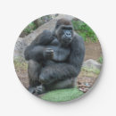 Search for gorilla paper plates Wildlife