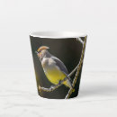 Search for songbirds mugs Yellow