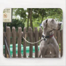 Search for leash mousepads Animal