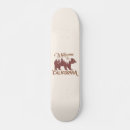 Search for california skateboards Bear