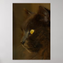 Recherche de norvégien posters Fourrure
