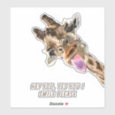 Recherche de girafe drôle autocollants Girafes