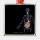 Search for transparent ornaments Part