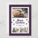 Search for meowy christmas cards Photo collage