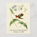Search for ornithological postcards Botanical