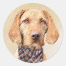 Search for vizsla gear stickers Pet