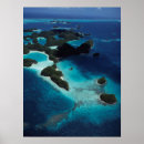 Search for micronesia posters Adnt