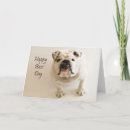 Search for happy boss day cards Bulldog