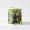 Search for brown bear mugs Young animal