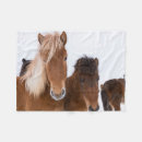 Search for icelandic horses blankets Martin zwick