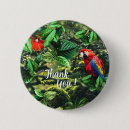 Recherche de perroquet coloré badges Macaw