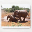 Recherche de kenya tapis souris Faune