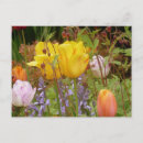 Search for tender postcards Flowers