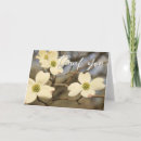 Search for spring photos photography Floral