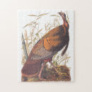 Search for wild bird puzzles Turkey