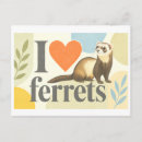 Recherche de le furet cartes postales Furets