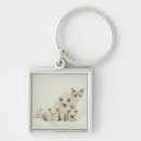 Search for female cat keychains Cute