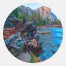 Search for tree roots stickers Nature