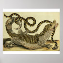 Recherche de maria sibylla merian posters Graff