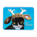 Search for humbug magnets Cute