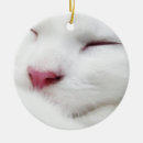 Search for sleeping cat ornaments White