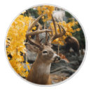 Search for deer knobs and pulls Buck