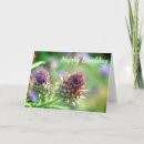 Search for thistle plant cards Purple