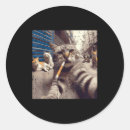 Search for street cat stickers Christmas online