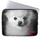 Search for adorable dog electronics Pomeranian