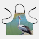 Search for pelican aprons Wildlife