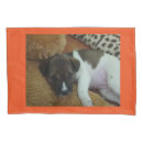 Search for puppies pillowcases Dog