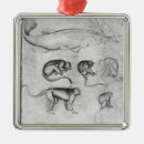 Search for six ornaments 15th