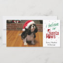 Search for pup christmas cards Paws