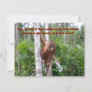 Recherche de recyclage vœux cartes Environnement