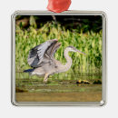 Search for great blue heron ornaments Wildlife