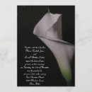 Recherche de calla lily invitations Lys