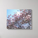 Search for cherry blossom tree canvas prints Trees