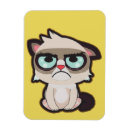 Search for sad rectangular magnets Cool
