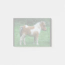 Recherche de dartmoor posters Poney