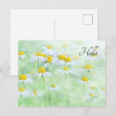 Search for daisy horizontal postcards Summer