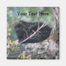 Recherche de animaux sauvages magnets Pour lui