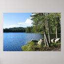 Search for pine trees mountains posters Forest