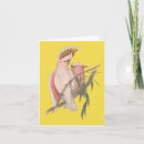 Search for galahs cards Australian