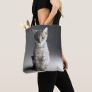 Search for tabbies bags Pets