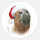 Search for horse stickers Pony