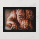 Recherche de dessin de chien cartes postales Pitbull