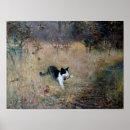 Search for caught posters Cat