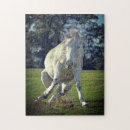 Recherche de poney blanc puzzles Équestre